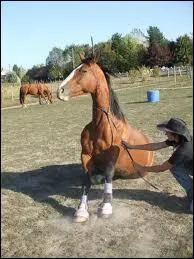 Quel est le nom de ce tour ?