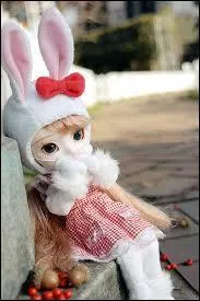 Quelle est cette Pullip ?