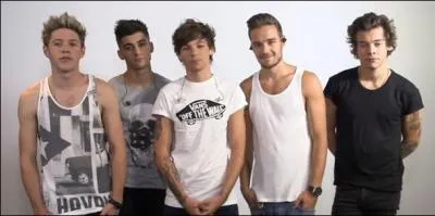 Combien de tournées ont-ils faites à présent ? Sans compter celle de x factor