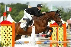 Quel est le nom de cette discipline ?