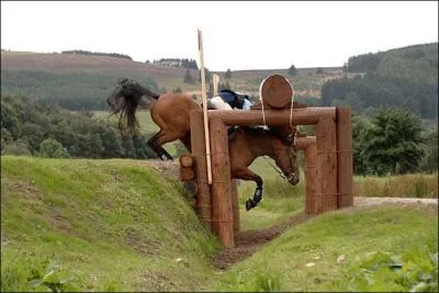 Quel est le nom de cette discipline ?