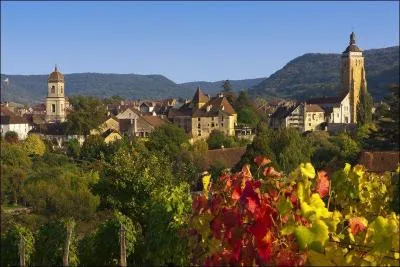 Arbois où vous pourrez voir la Maison Pasteur est célèbre pour son vignoble, si Pasteur n'y est pas né, qui y vit le jour?