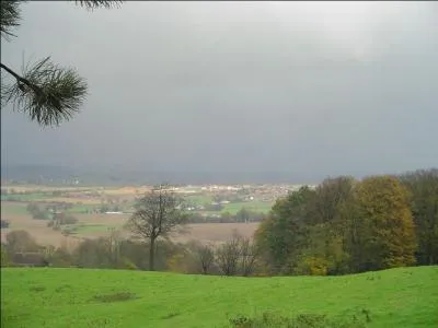 Le mont des Cats hauteur de 164 mètres au nord de Bailleul est connue pour ses spécialités, laquelle n'en est pas une?