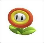 À quoi sert cet objet ?