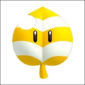 À quoi sert cet objet ?