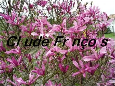 Quelles sont les lettres manquantes pour trouver le nom de ce personnage?