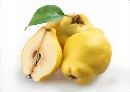 Quel fruit est représenté sur la photo?