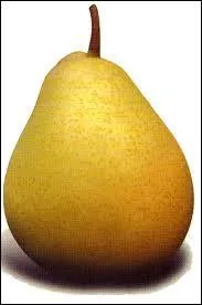 Quel fruit est représenté sur la photo?