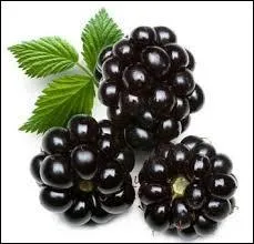 Quels fruits rouges sont représentés sur la photo ?