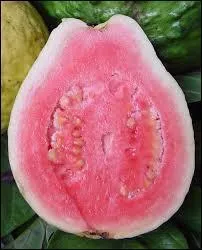 Quel fruit exotique est représenté sur la photo?