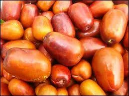 Quel fruit exotique est représenté sur la photo?