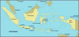 Quel pays est repr&eacute;sent&eacute; ? (indice : sa capitale est Jakarta)