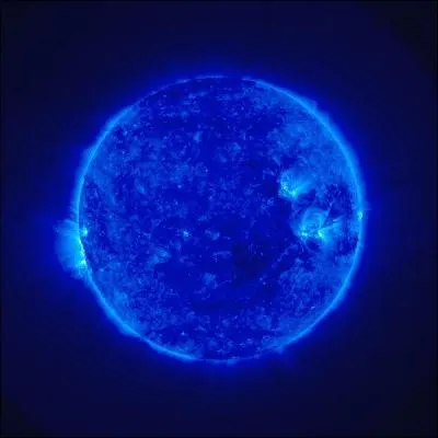 Peux tu classer ces plantes de la plus proche  la plus loigne du Soleil ?