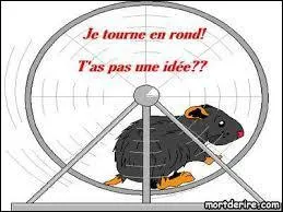 La situation est inextricable, si bien qu'il y a de quoi ---- et en perdre le Nord.