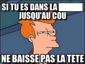 Parfois cela remonte jusqu'au cou et l'on a de la difficulté à en changer le cours !