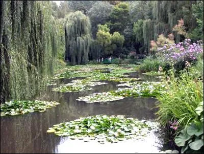 Et le "nuphar", savez-vous ce qu'il cache ?