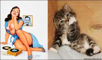 Dans le film "Le Chat qui vient de l'espace", l'extraterrestre "Zunar J5 slash 9 doric 47" est un chat !