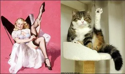 Dans ce film, "la Nuit déchirée", des êtres humains se transforment en félins !