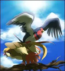 Quand Roucarnage et Hélédelle font un uf, à l'éclosion, on obtient un _____ ou un _____ ! [2 réponses]