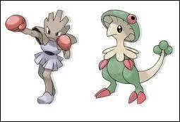 Quand Tygnon et Chapignon font un uf, à l'éclosion, on peut obtenir : [2 réponses]