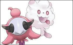 Quand on fait un uf entre Fluvetin et Sucroqurin, à l'éclosion, on obtient un _____ ou un _______ ! [2 réponses]