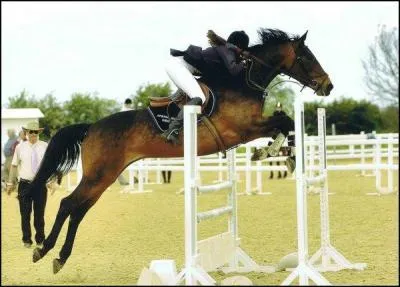 Quel est l'obstacle présent sur l'image ?