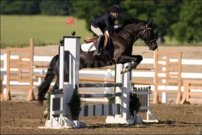 Quel est l'obstacle présent sur l'image ?