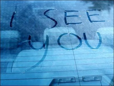 Qui s'est fait renverser par une voiture ?