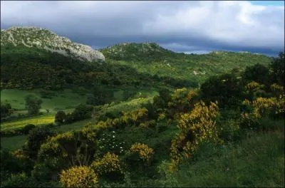 Le département de l'Aude n'est pas limitrophe de celui :