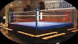 Quel était l'un des premiers métiers de Louis de Funès?