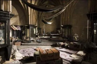 À Poudlard, où dorment les élèves qui sont amis avec Harry ?