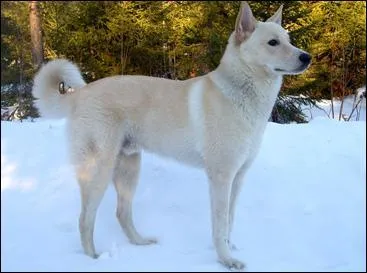 Son éducation est parfois délicate : il faut être très strict mais jamais violent, c'est un...