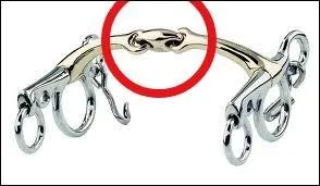 Comment appelle-t-on les mors comme ça ?