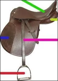 Quelle est la partie correspondant au trait rouge ?