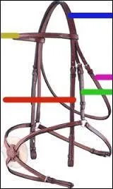 Quel est le nom correspondant au trait rouge ?