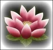 De quel manga provient ce signe ?