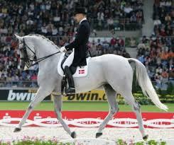 Quiz Galop 1