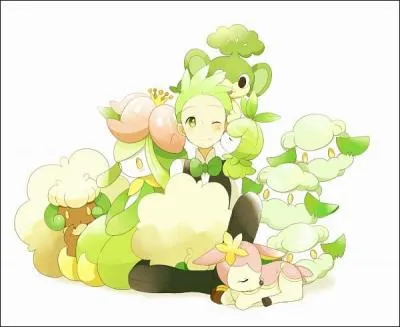 De quelle arène Rachid est-il le champion ?