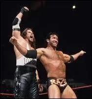 Quel nom portait l'équipe constituée de Kevin Nash et Scott Hall lorsque ces derniers firent leur retour à la WCW en 1996 ?