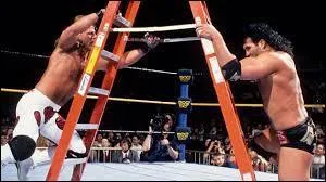 En 1994, Shawn Michaels et Razor Ramon s'affrontent dans un "ladder match" pour le gain du titre intercontinental de la WWF. Considéré par beaucoup comme l'un des meilleurs matchs de l'histoire du catch, cet affrontement magistral s'est déroulé à :