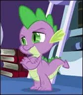 Quel est mon rôle ?