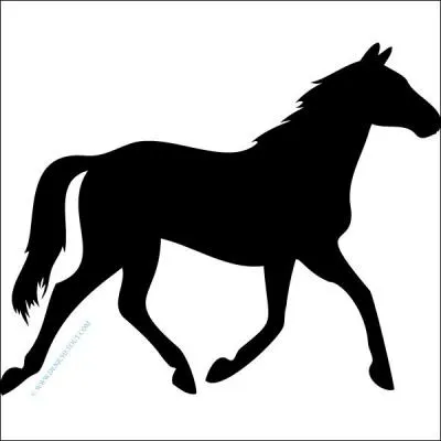 Pour être sur le bon diagonal (au trot) que faut-il ?