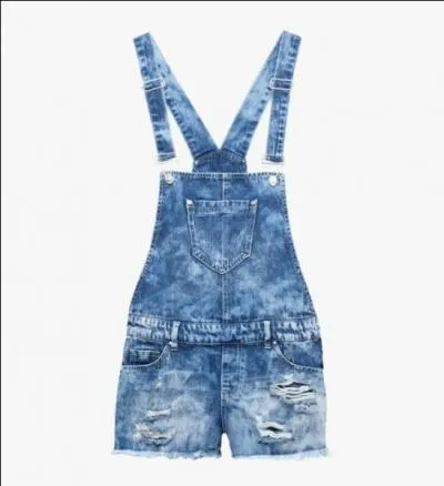 Comment s'appelle le vetement sur la photo ?