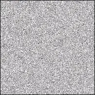 Lequel de ces trois magasins est un magasin de vétement ?