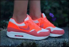 Quelle est cette marque de chaussures ?