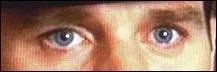 Quel acteur a ces yeux bleus ?