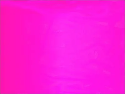 Comment dit-on "rose" en espagnol ?