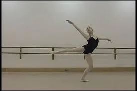 Sa jambe de terre est :