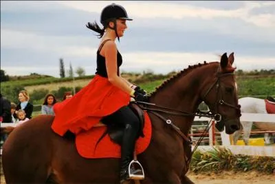Comment nomme-t-on les traces sur la tête du cheval ?