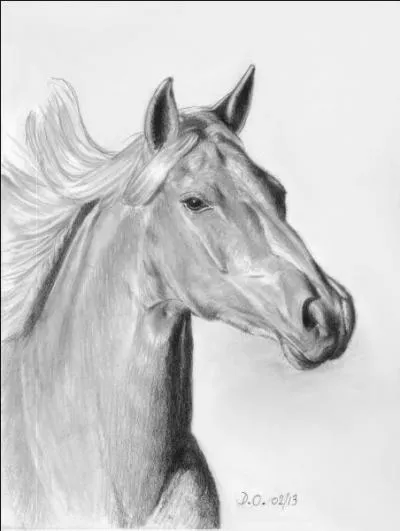 De quelle couleur était le cheval dans la chanson d'Hugues Aufray "Le coeur gros" ?